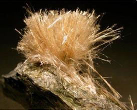 船舶的無石棉檢測