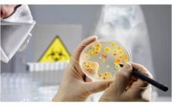 微生物檢測(cè)——信測(cè)解決方案