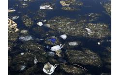 深圳SAG海洋環(huán)境監(jiān)測機構(gòu)海洋環(huán)境污染現(xiàn)狀監(jiān)測