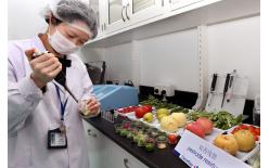 農(nóng)產(chǎn)品檢測之無公害農(nóng)產(chǎn)品認(rèn)證檢測