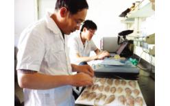 深圳水產(chǎn)及水產(chǎn)制品檢測SAG中檢聯(lián)供海鮮檢測服務