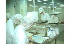 深圳加工食品檢測(cè)機(jī)構(gòu)SAG中檢聯(lián)供食品人工香精檢測(cè)服務(wù)