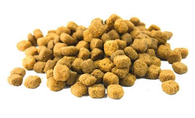 全價貓糧檢測服務(wù)