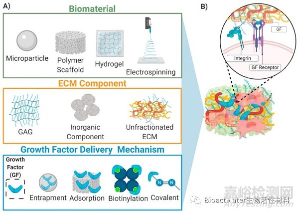 利用模擬細胞外基質(zhì)的載體遞送生長因子，用于肌肉骨骼組織工程和修復