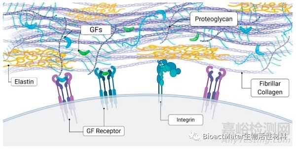 利用模擬細胞外基質(zhì)的載體遞送生長因子，用于肌肉骨骼組織工程和修復