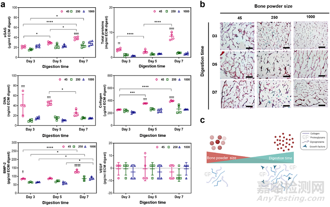 人骨組織來源的ECM水凝膠：通過工藝參數(shù)控制理化、生化和生物學(xué)特性