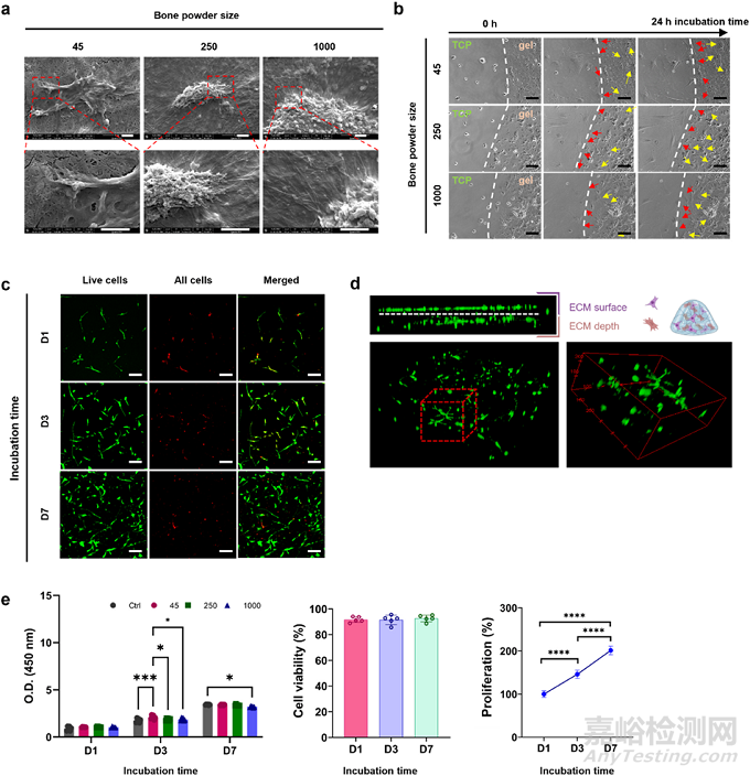 人骨組織來源的ECM水凝膠：通過工藝參數(shù)控制理化、生化和生物學(xué)特性