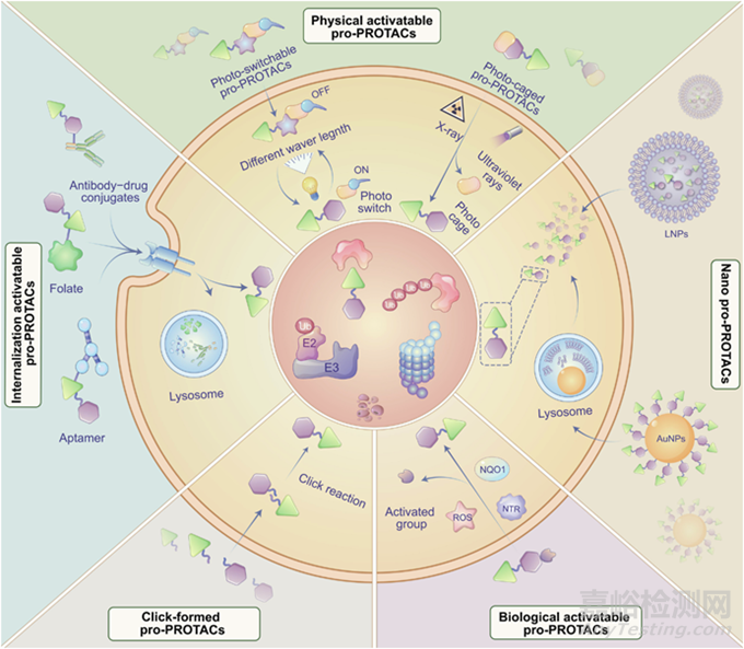 PROTAC藥物生物利用度優(yōu)化制劑策略