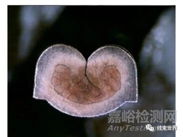 端子壓接質(zhì)量檢測(cè)方法