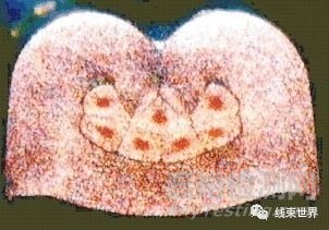 端子壓接質(zhì)量檢測(cè)方法