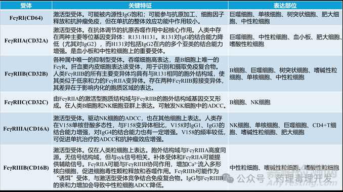 人和非臨床種屬的Fc受體表達(dá)、功能及種屬間結(jié)合的差異