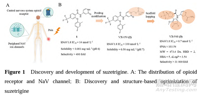 2025年首創(chuàng)性小分子藥物研究實(shí)例淺析