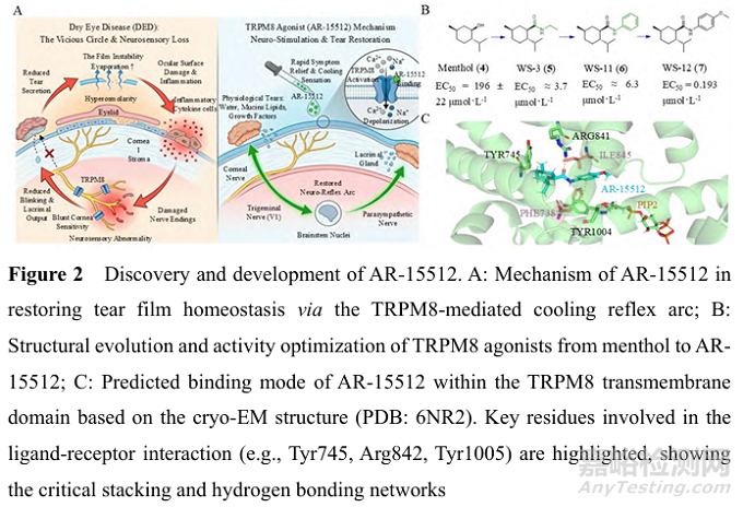 2025年首創(chuàng)性小分子藥物研究實(shí)例淺析