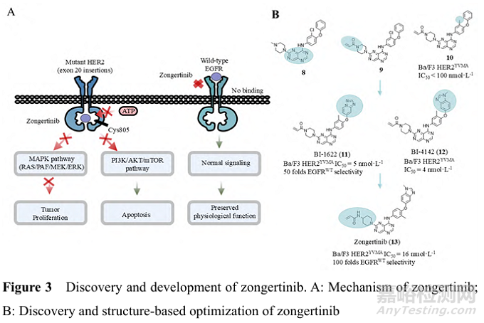 2025年首創(chuàng)性小分子藥物研究實(shí)例淺析