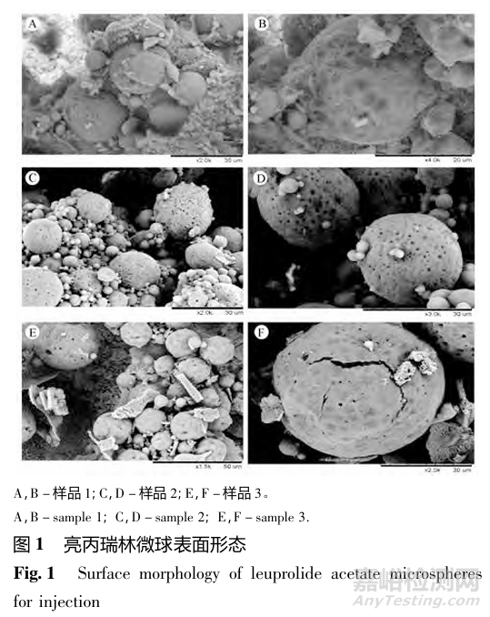 注射用多肽緩釋微球形態(tài)分析研究