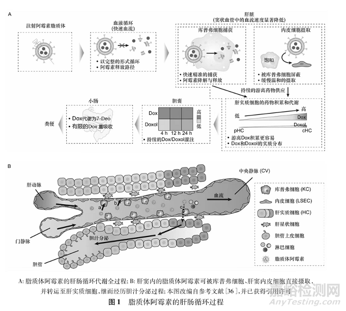 脂質(zhì)納米藥物遞送系統(tǒng)