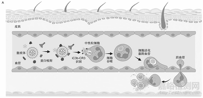 脂質(zhì)納米藥物遞送系統(tǒng)