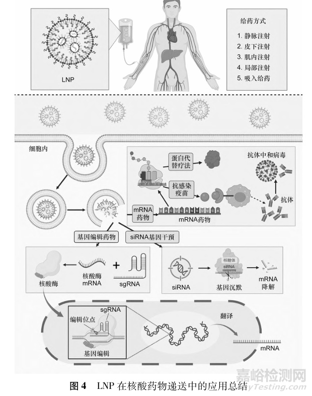 脂質(zhì)納米藥物遞送系統(tǒng)
