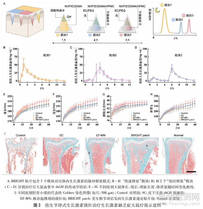 仿生節(jié)律式藥物遞釋研究進展