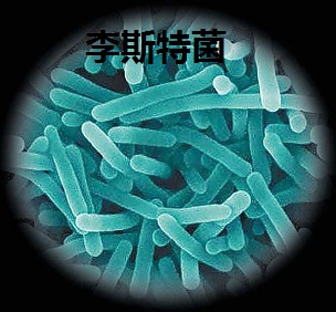 單核細(xì)胞增生李斯特菌，單增李斯特氏菌，李斯特氏菌