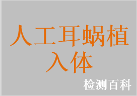 人工耳蝸植入體