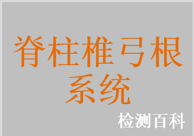 頸椎椎弓根系統(tǒng)，胸腰椎椎弓根系統(tǒng)