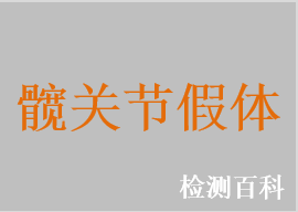 髖關(guān)節(jié)假體系統(tǒng)，髖關(guān)節(jié)假體，髖臼假體，髖關(guān)節(jié)股骨假體
