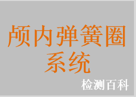 顱內(nèi)彈簧圈系統(tǒng)