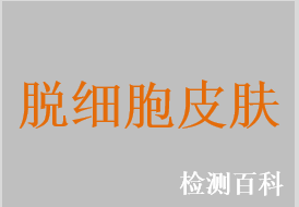 脫細(xì)胞皮膚