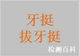 牙挺，丁字形牙挺，牙根尖挺，開冠挺，拔牙挺，微型牙挺，阻生齒牙挺
